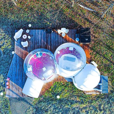 L Ost In Sensations -Hebergements Insolites Et Suites De Luxe Spa Sauna Piscine Foret Marcenais Exterior foto